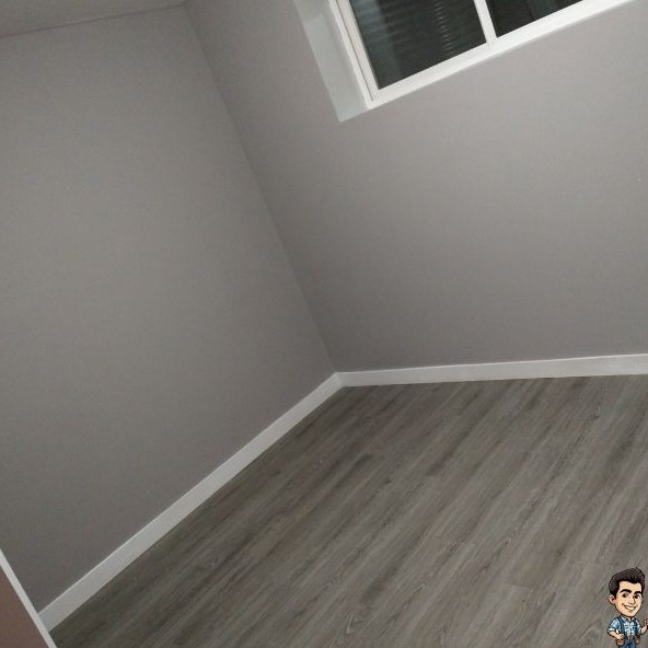 Freshly painted grey walls with clean white baseboards in a rental suite